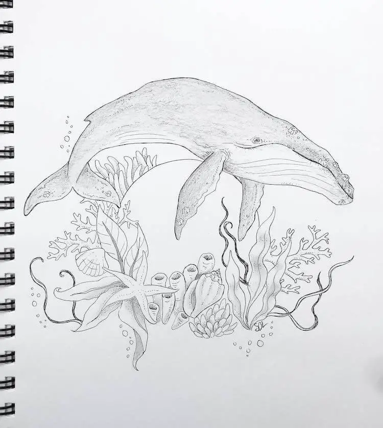 Whale Drawing Ideas That Are Fin-Tastic