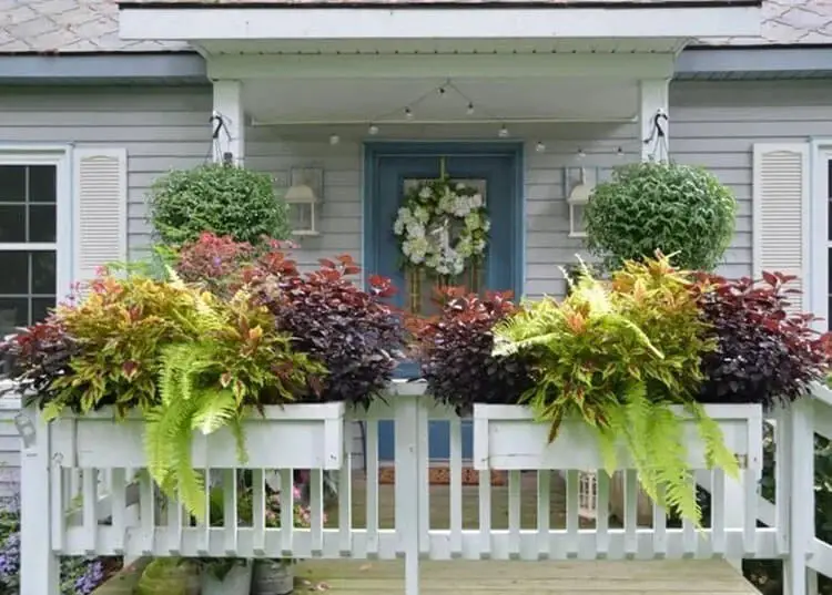 20 Beautiful Container Garden Planting Ideas