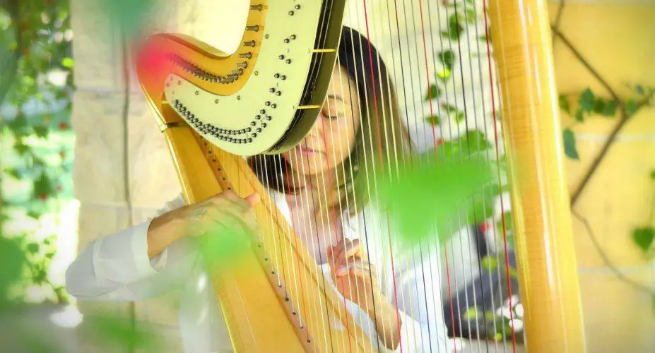 Celebrant – Bill Scurry CMC
Ceremony Music – Naomi Terashima Harpist