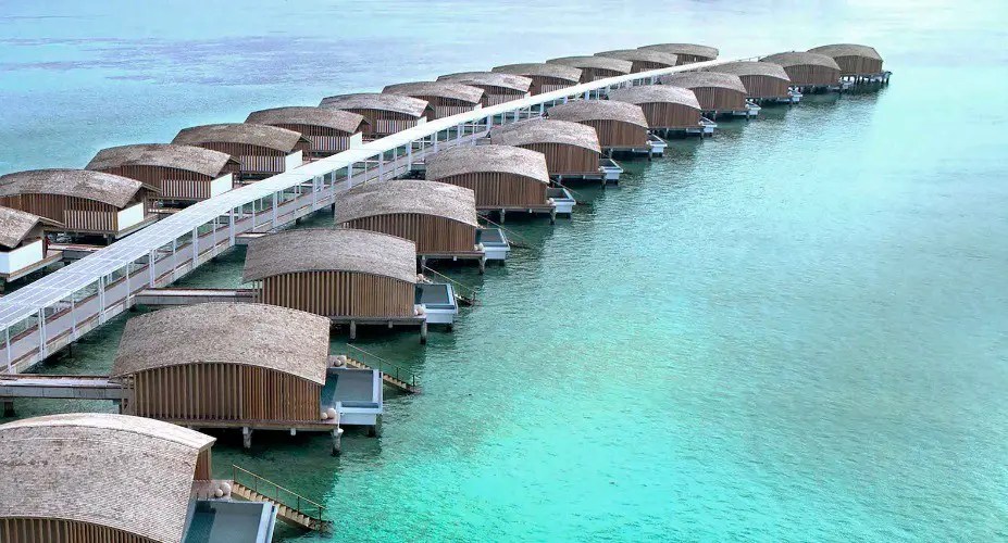 Leo: The Maldives