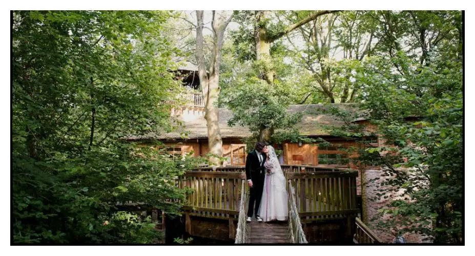 In a Treehouse at Issaquah, Washington