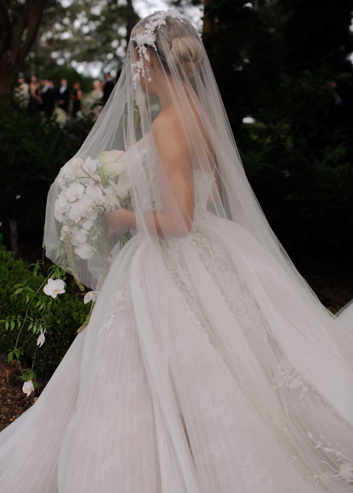 The Bride’s Wedding Dresses