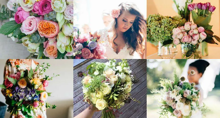 Elyssium Blooms – @elyssiumblooms_floralstyling