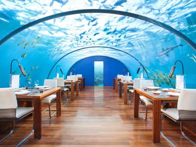 Underwater Dining Experience