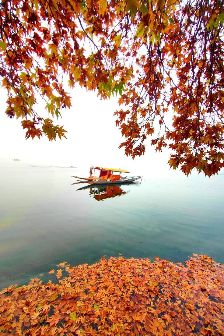 Dal Lake, Srinagar