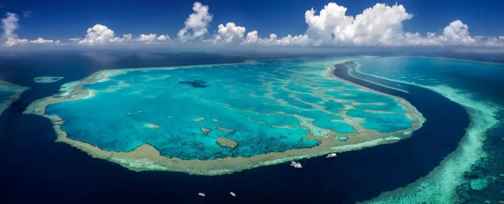 The Great Barrier Reef, QLD