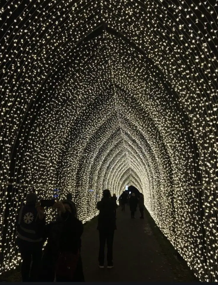 Christmas Lights Proposal