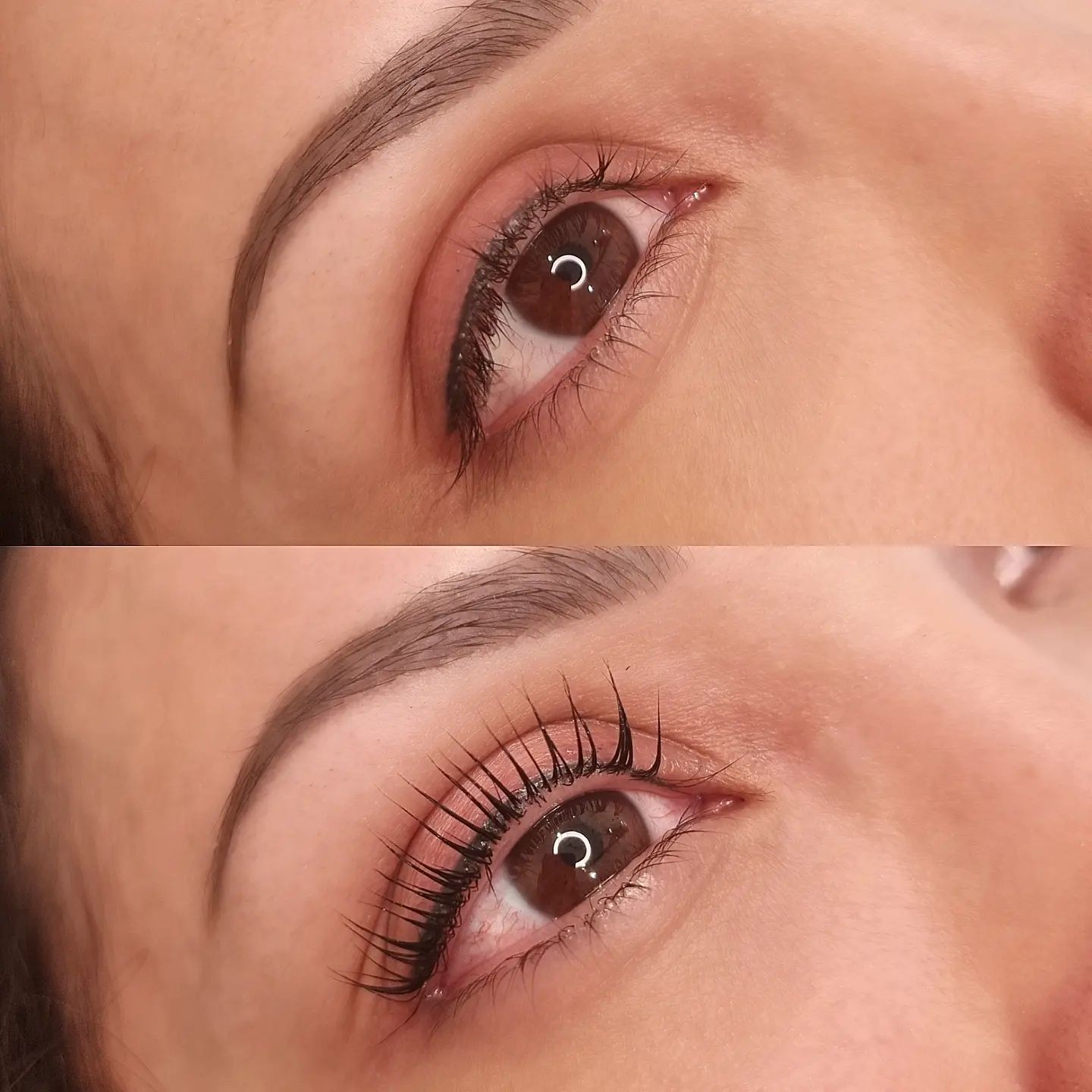 Lash Extensions or Lash Lift at Your Local Lash Salon