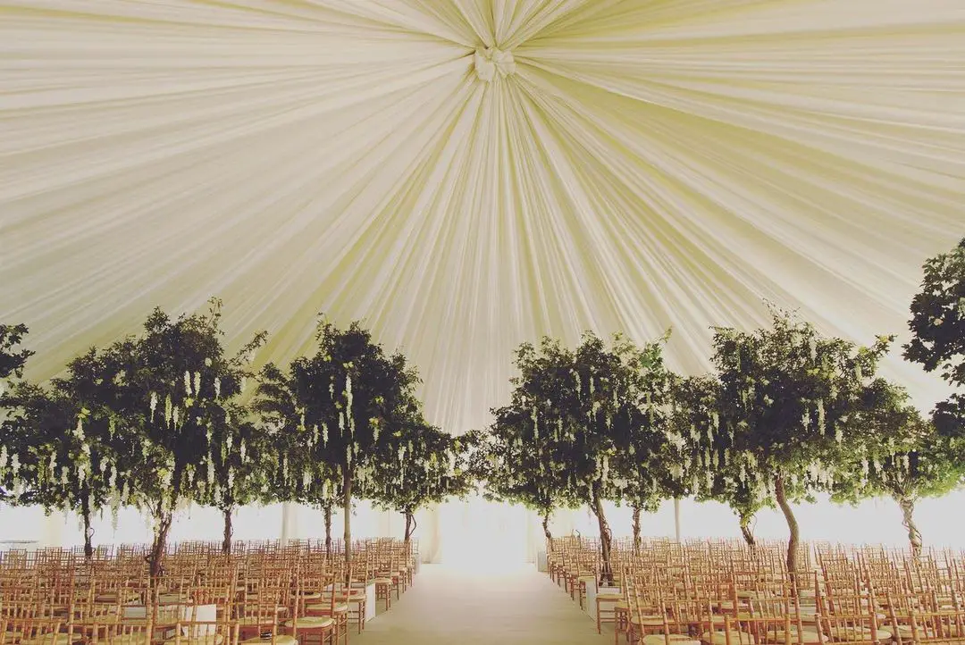 The Wedding Tent Dreams Are Made Of