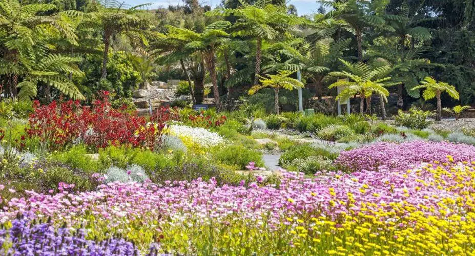 The Australian Botanic Garden, Mount Annan