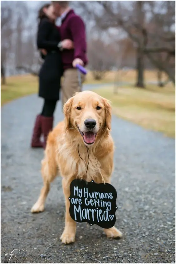 Make Sure They Are In Your Engagement Photos