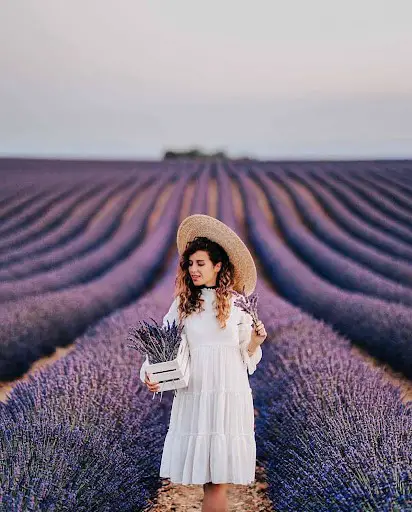 Provence