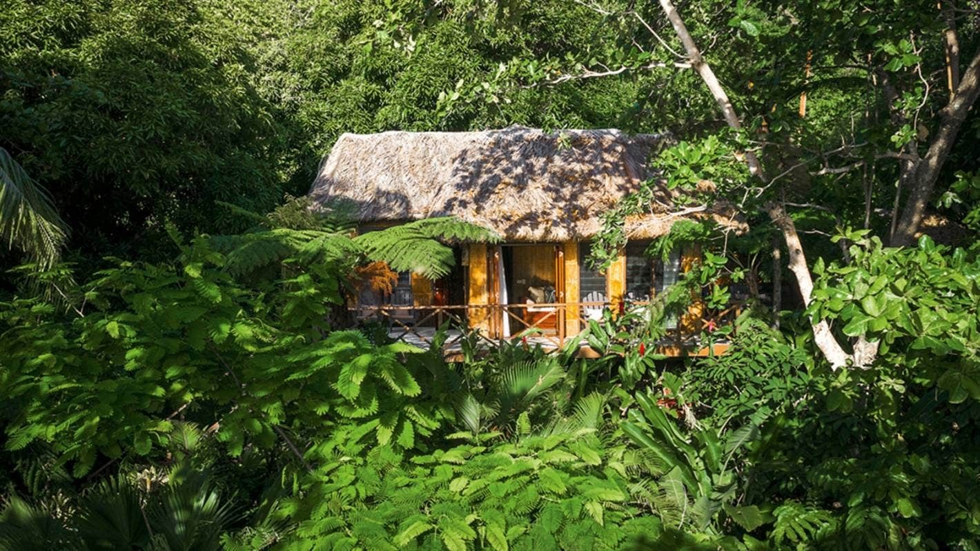 Secluded Treehouse Proposal, Kadavu Island