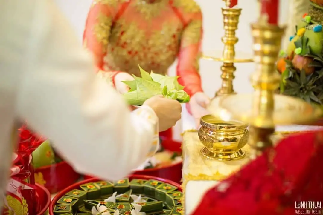 Betel Leaves and Areca Nut (Trầu cau)